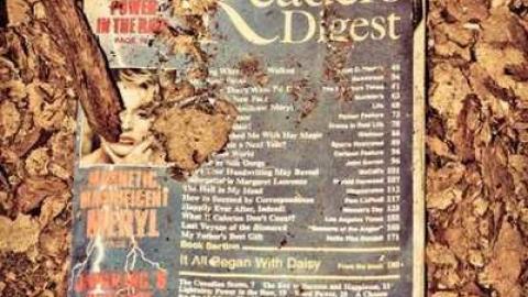 Big Island Tiny House - 850-N-Big-Island-Rd48.jpg