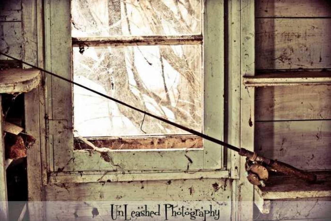 Big Island Tiny House - 850-N-Big-Island-Rd49.jpg