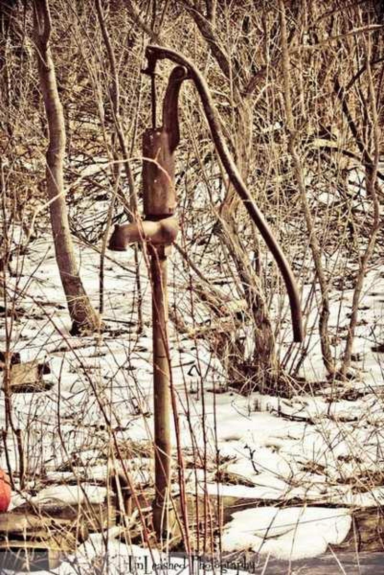 Big Island Tiny House - 850-N-Big-Island-Rd50.jpg