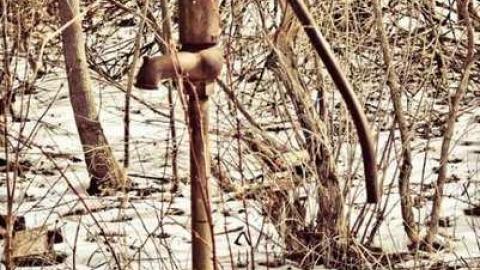 Big Island Tiny House - 850-N-Big-Island-Rd50.jpg