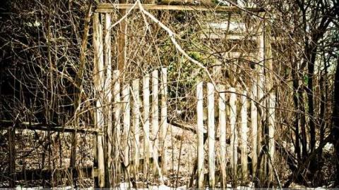 Big Island Tiny House - 850-N-Big-Island-Rd51.jpg