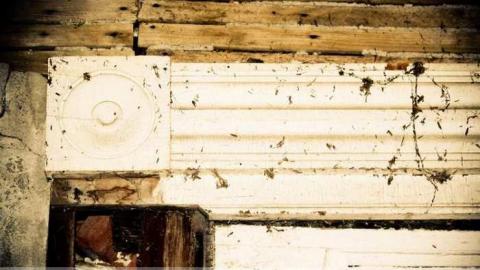 Pleasant Bay - Pleasant-Bay-Rd.-Hillier75.jpg