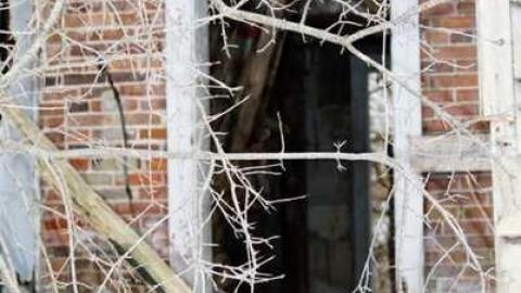 Pleasant Bay - Pleasant-Bay-Rd.-Hillier78.jpg