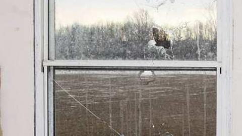 Swamp College - Swamp-College-House15.jpg