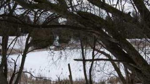 Ashes - A-Door-to-Nowhere17.jpg