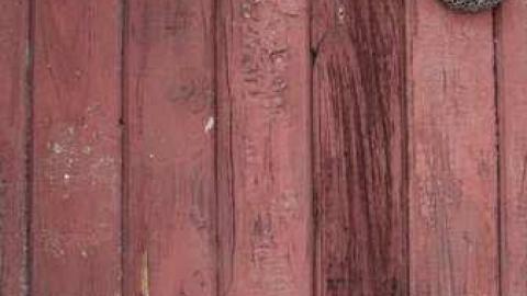 Ashes - A-Door-to-Nowhere32.jpg