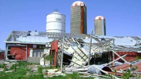 Gallery - Teviotdale-Farm41.jpg