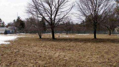 5 in Milton - There-Goes-The-Neighbourhood13.jpg