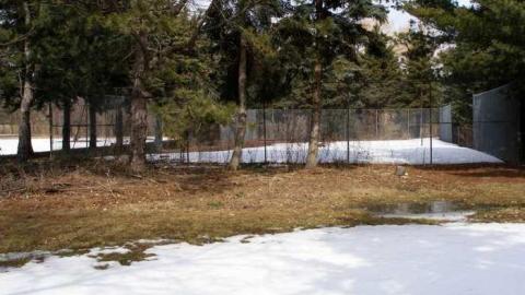 5 in Milton - There-Goes-The-Neighbourhood18.jpg