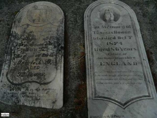 Ponsonby Ghost Town photo 5