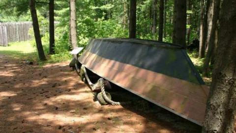 Willow in the wind - Fort-Willow32.jpg