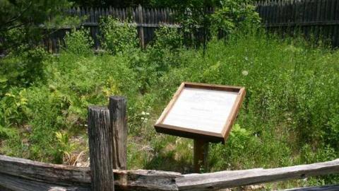 Willow in the wind - Fort-Willow35.jpg