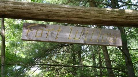 Willow in the wind - Fort-Willow45.jpg