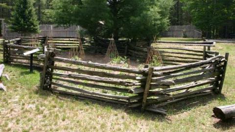 Willow in the wind - Fort-Willow49.jpg