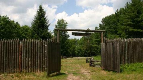 Willow in the wind - Fort-Willow41.jpg