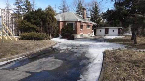 9 Lives - 9-Lives-Hookah-House1.jpg