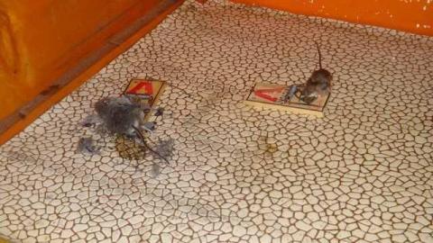 9 Lives - 9-Lives-Hookah-House42.jpg