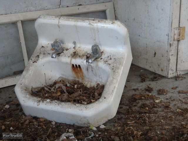 9 Lives Hookah House photo 5