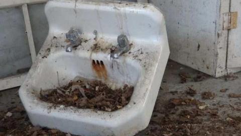 9 Lives - 9-Lives-Hookah-House45.jpg