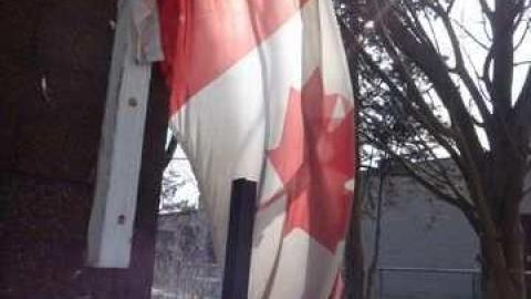 9 Lives - 9-Lives-Hookah-House38.jpg