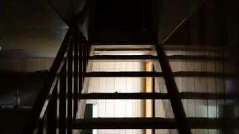 9 Lives Hookah House - Guelph, Ontario