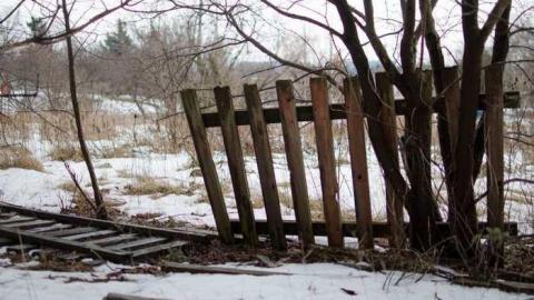 Feb 2013 visit - 2013 February_2959D19.jpg