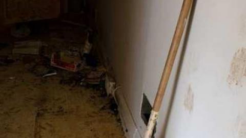 March 27/13 - 2013 March_8512D26.jpg