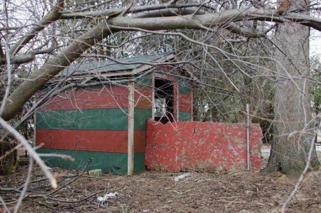 Paintastrophe photo 4