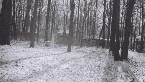 Black and white  - F1010007.jpg