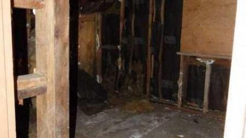 Quick stop - P1010096.jpg