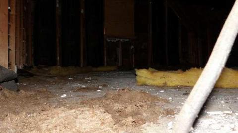 Quick stop - P1010098.jpg