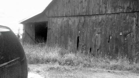 Barn Tootin! - King-20130324-00443.jpg