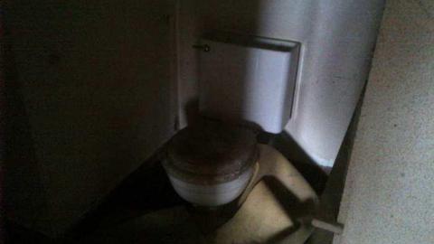 Barn Tootin! - King-20130324-00447.jpg