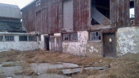 Barn Tootin! - King-20130324-00450.jpg