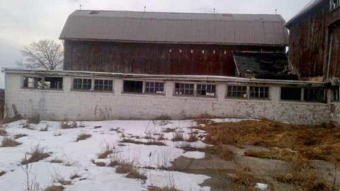 Barn Tootin! - King-20130324-00451.jpg