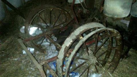 Barn Tootin! - King-20130324-00454.jpg