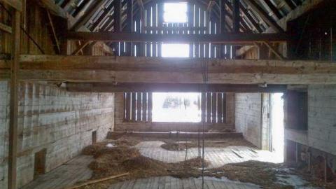 Barn Tootin! - King-20130324-00455.jpg