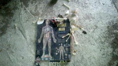 Photo from Barn Tootin!