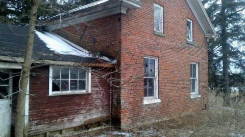 Barn Tootin! - King-20130324-00466.jpg