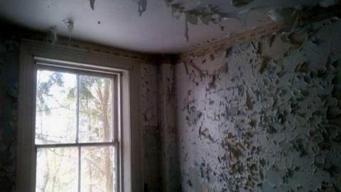 Barn Tootin! - King-20130324-00468.jpg