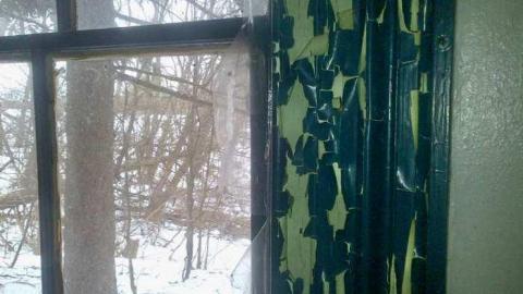 Barn Tootin! - King-20130324-00470.jpg