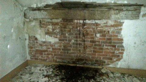 Barn Tootin! - King-20130324-00471.jpg