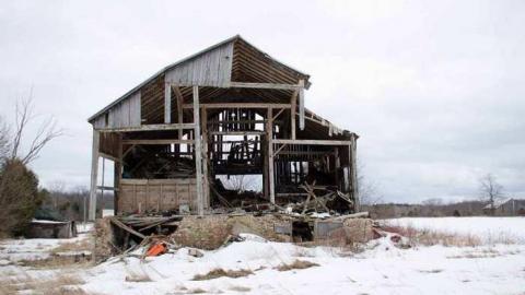 March 28/13 visit - 2013 March_8809D28.jpg