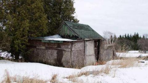 March 28/13 visit - 2013 March_8891D28.jpg