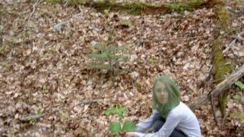 Ghost Towns of Muskoka - Muskoka-s-Lost-Ghost-Towns29.jpg