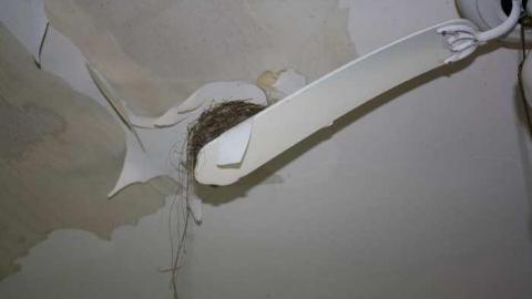 Pleasantville - Pleasantville-Abandoned-Farm22.jpg