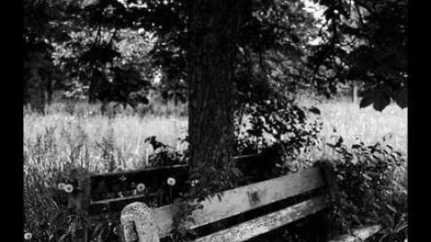 Photo from "Stonehenge"