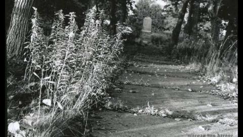 Photo from "Stonehenge"