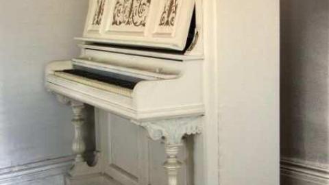 Pristine Place - 5.jpg