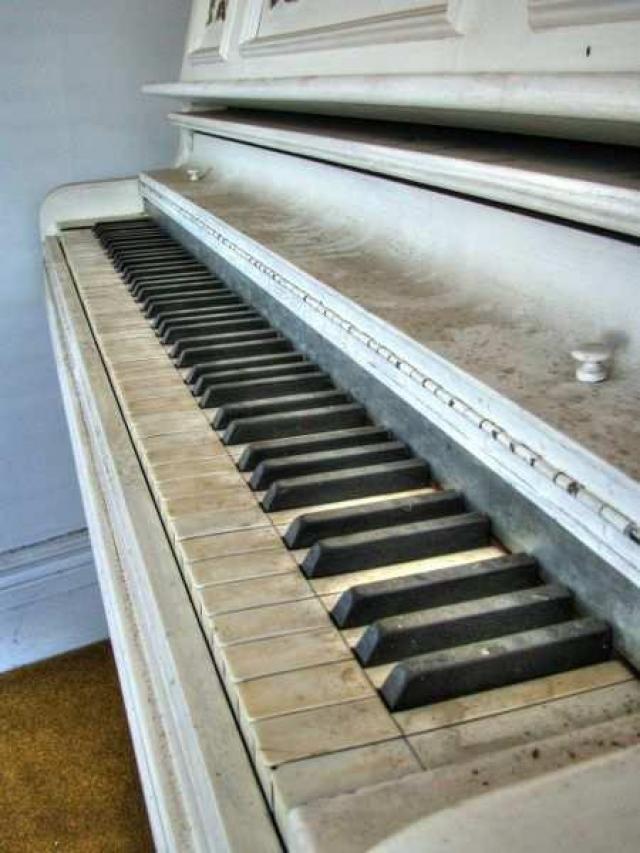 North of Wildfield photo 5